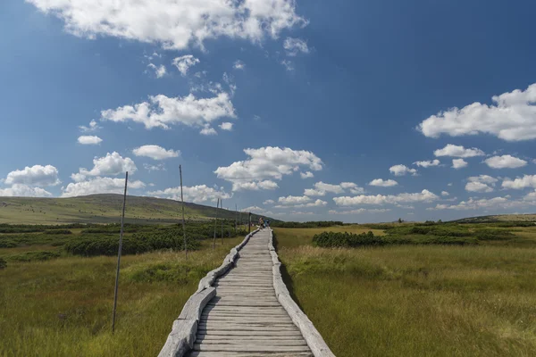 Güneşli yaz günü dağda Krkonose