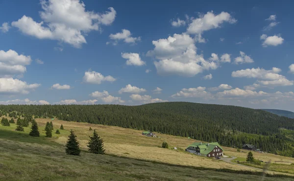 Krkonose montanhas no dia ensolarado de verão — Fotografia de Stock