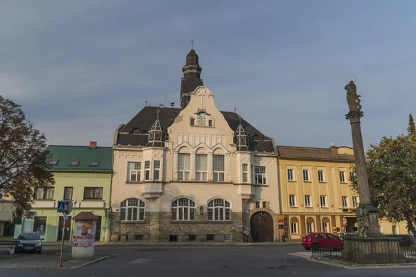 Chabarovice stad in zomeravond — Stockfoto