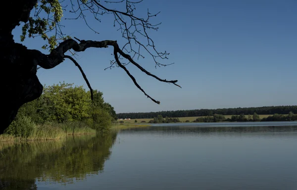 Dia de verão perto de lagoas sul da Boêmia — Fotografia de Stock