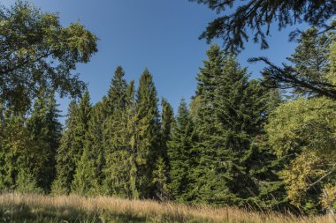 Mnisek nad yakınındaki Hnilcom yaz sıcak gün içinde