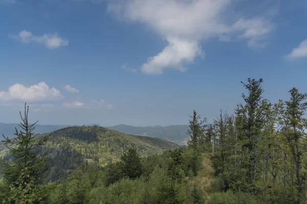 Oblast u Mnisek nad Hnilcom v létě horký den — Stock fotografie