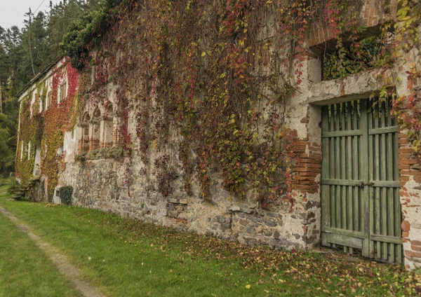 Maison près de la rivière Vltava et Divci Kamen ruine du château en automne — Photo