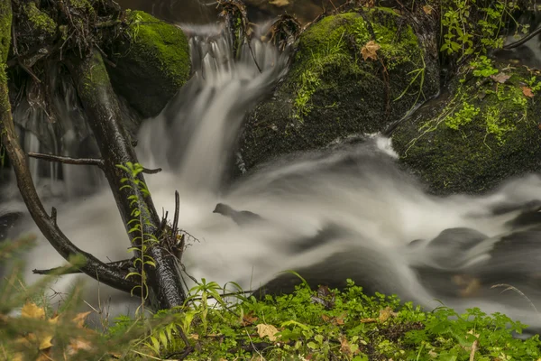 Autumn time near river Krinice — Stock Photo, Image