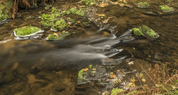 川 Krinice 近く秋の時間 — ストック写真