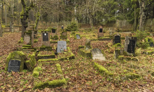 Stary cmentarz zielony w lesie — Zdjęcie stockowe