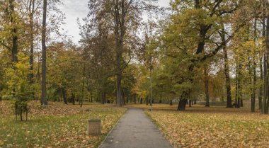 River Park Litomerice şehirdeki sokak