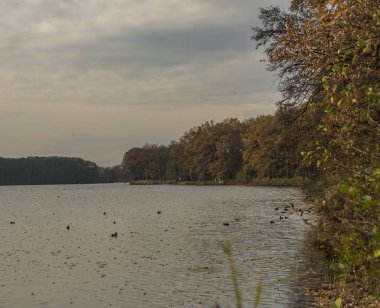 Cernis gölet sonbahar bulut zamanında