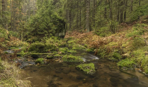 Herbstzeit in der Nähe von Krinice — Stockfoto