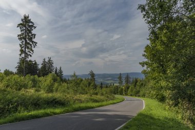 Yol ve ağaçlar Kozakov hill yakınındaki