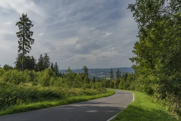 Yol ve ağaçlar Kozakov hill yakınındaki