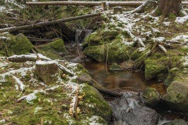 Kar orman Lobezsky dereye