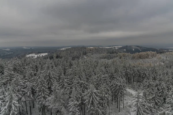 Snow forest from Krudum observation tower — Stock Photo, Image