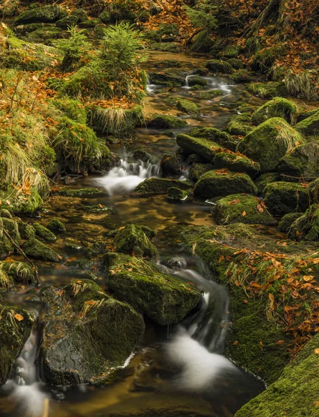 Creek Kamenice in Jizerske montagne di hory — Foto Stock