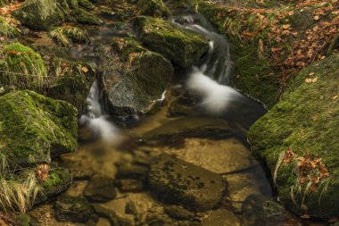 Dere Kamenice Jizerske hory dağlarda