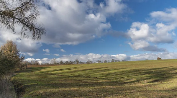 Groen veld met blauwe lucht en witte wolken — Stockfoto