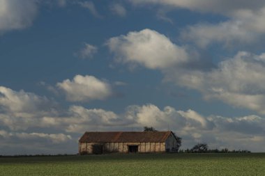 Alanlar ve çayırlar Kokorin alanında