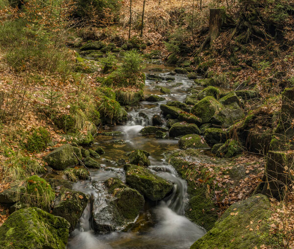 Creek Kamenice in Jizerske hory mountains