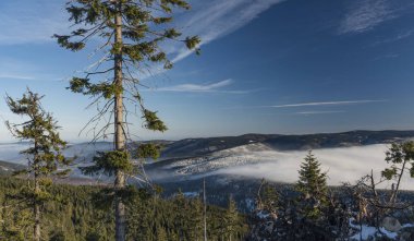 Güneşli bir günde Kralicky Sneznik hill yakınındaki Jeseniky dağlar
