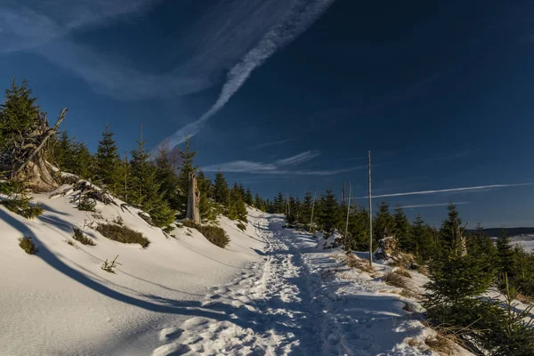 Día soleado en las montañas Jeseniky cerca de Kralicky Sneznik colina — Foto de Stock