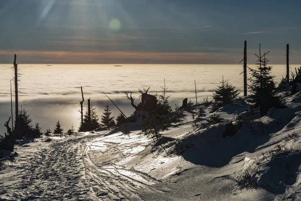 Journée ensoleillée dans les montagnes Jeseniky près de la colline Kralicky Sneznik — Photo