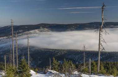 Güneşli bir günde Kralicky Sneznik hill yakınındaki Jeseniky dağlar