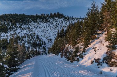 Noel zamanında Jeseniky dağlarda gündoğumu