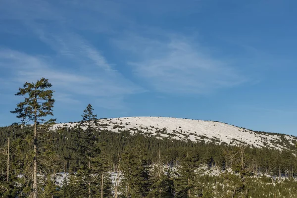Słoneczny dzień w Jesionikach w pobliżu kralickim Snieźníkem hill — Zdjęcie stockowe