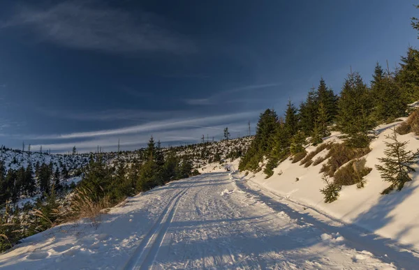 Noel zamanında Jeseniky dağlarda gündoğumu