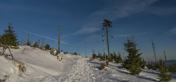 Lever de soleil dans les montagnes Jeseniky en période de Noël — Photo