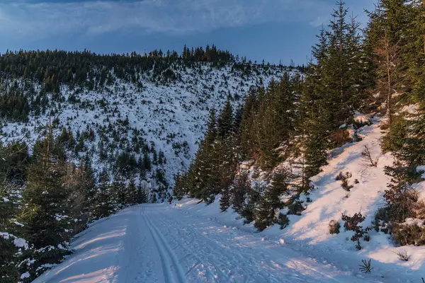 Lever de soleil dans les montagnes Jeseniky en période de Noël — Photo