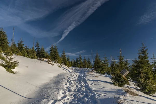 Salida del sol en las montañas Jeseniky en época de Navidad — Foto de Stock