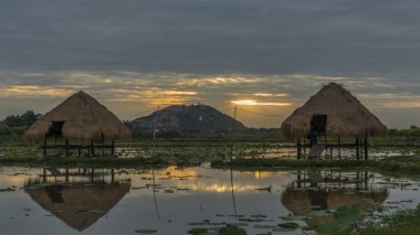 Siem Reap town yakınındaki kırsal
