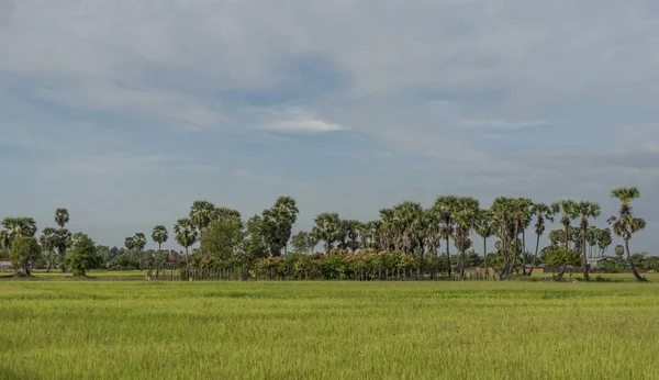 Countryside near Siem Reap town — Stock Photo, Image