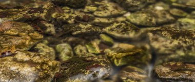 Biely dere taşları ve temiz su ile