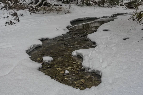Biely Potok ze kamienie i czystej wody — Zdjęcie stockowe