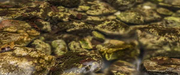 Biely dere taşları ve temiz su ile