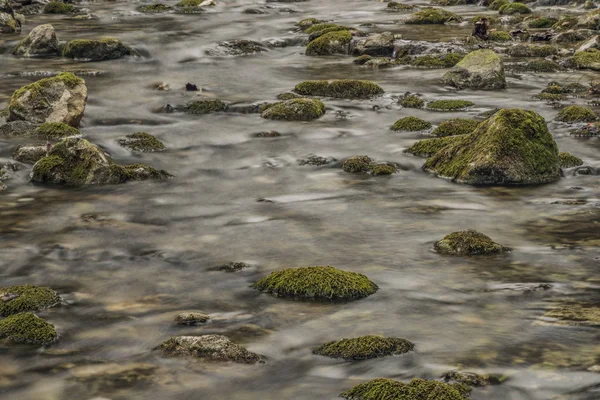 Biely arroyo con piedras y agua limpia — Foto de Stock