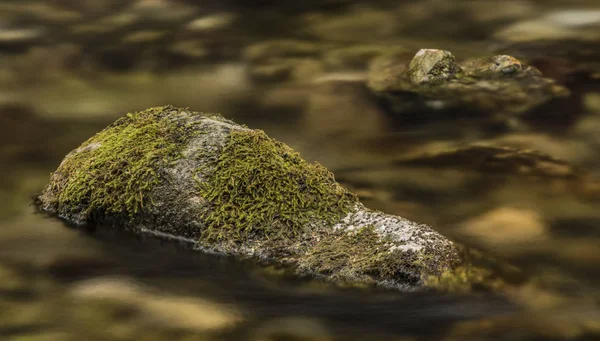 Biely arroyo con piedras y agua limpia — Foto de Stock