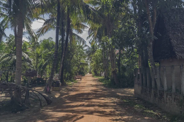 Countryside street near Siem Reap with houses