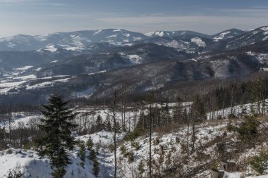 Kış soğuk sabah Dedinky Köyü yakınındaki