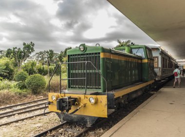 Da Lat qurğu güneşli bir günde eğitir.