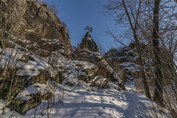 Sonniger Wintertag in der Nähe des Hügels Vrabinec — Stockfoto