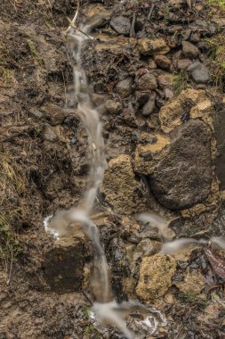 Bahar creek Ceske Stredohori dağlarında