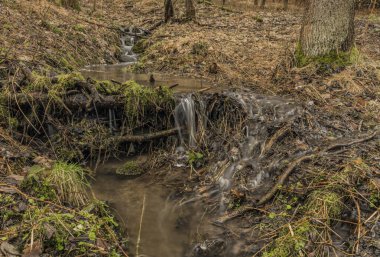 Bahar creek Ceske Stredohori dağlarında