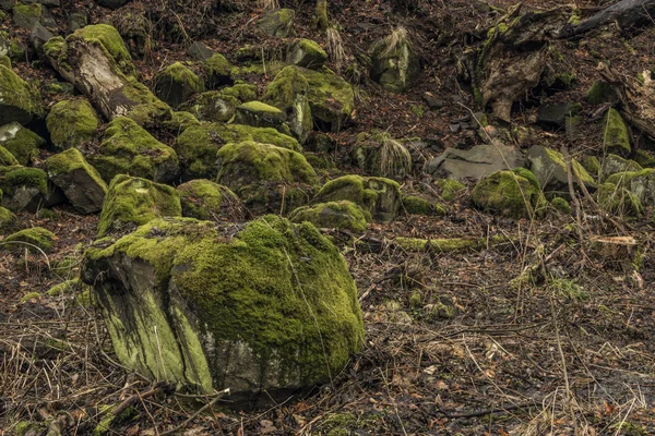森林の町チェスケー Stredohori 山の石 — ストック写真