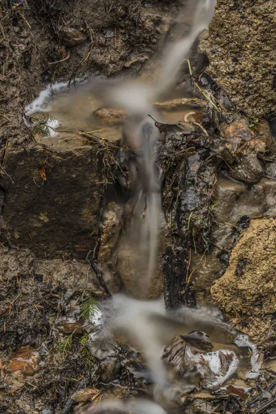 Bahar creek Ceske Stredohori dağlarında