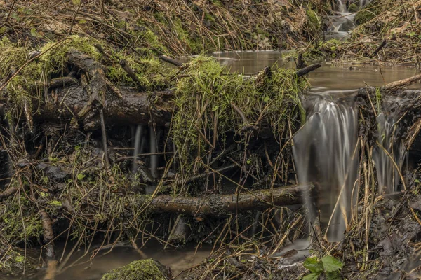 Spring creek České středohoří-hegység — Stock Fotó