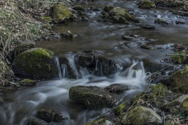 Bahar akşam Bynov köyü yakınındaki Probostovsky creek