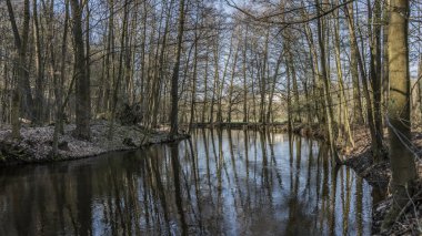 Bahar güneşli nehir Dolanky Köyü